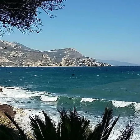 Port * Nice